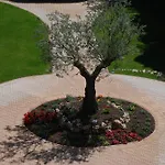 Relais Valfiore Casa rural *