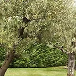 Casa rural Relais Valfiore