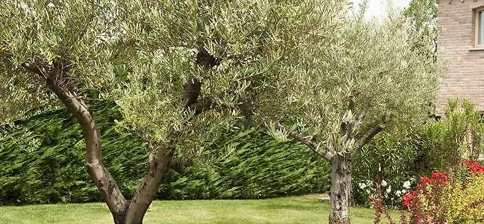 Kır Evi Relais Valfiore