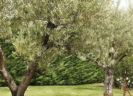 Venkovský dům Relais Valfiore